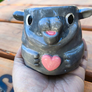 Trend Moo Deng Cup Hippo Moo Deng